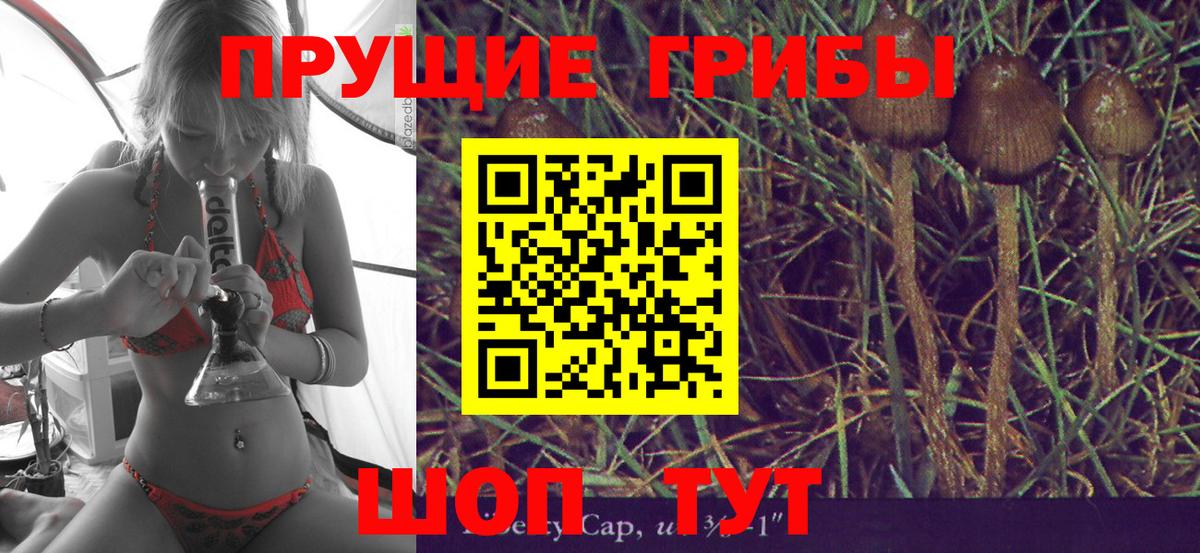 Галлюциногенные грибы Cubensis  купить наркоту  Качканар  Вход с VPN 