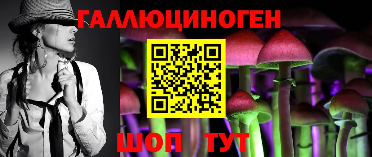 Псилоцибиновые грибы GOLDEN TEACHER Качканар